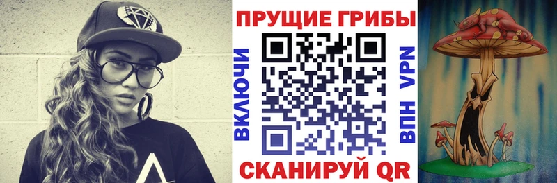 Галлюциногенные грибы прущие грибы  Купить закладки  Верхоянск 